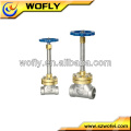 Brass low temperature straight globe valve